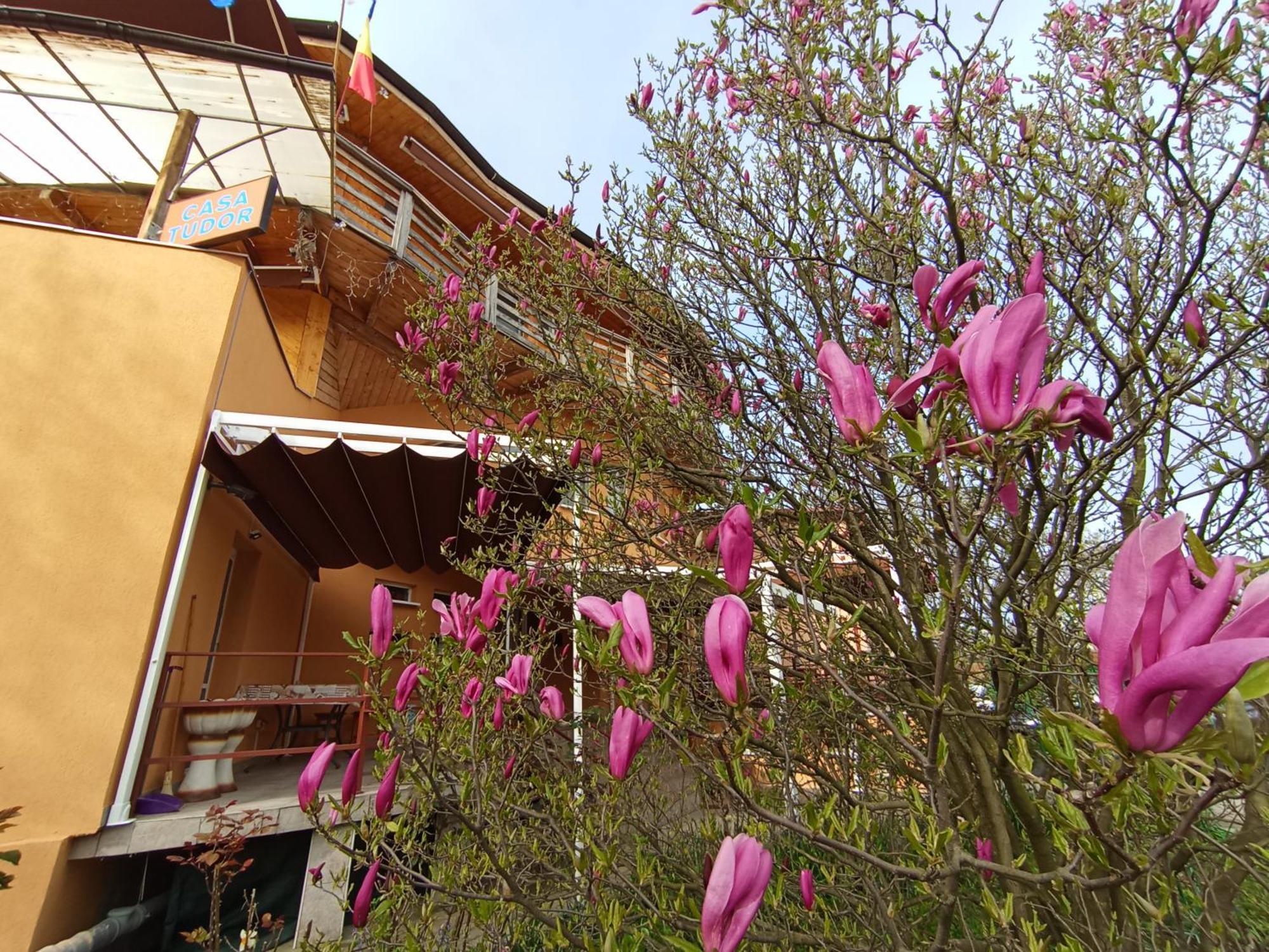Casa Tudor Турда Экстерьер фото